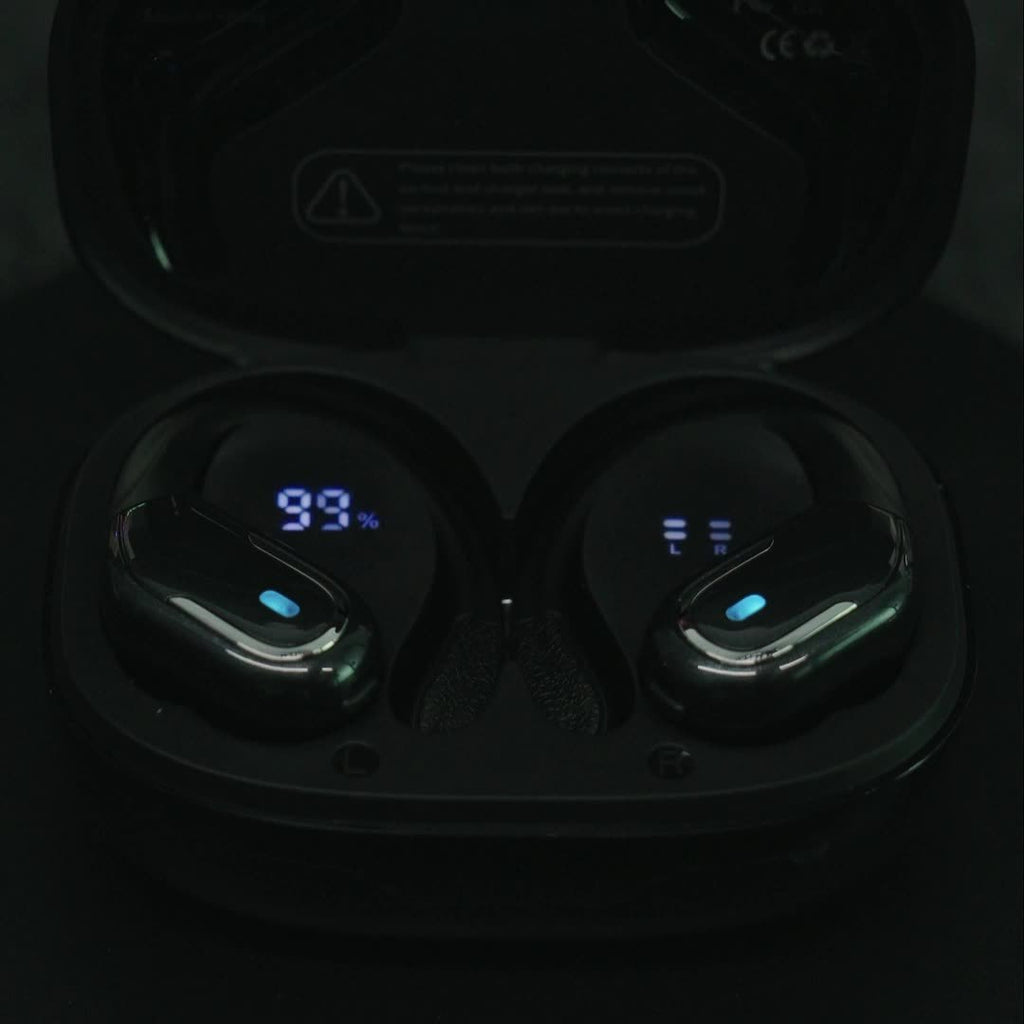 [Pure Bass Sound] LIFEBEE Wireless Earbuds | Earphones with Earhooks | Pure Bass Sound | ENC Noise Cancelling | Dual-LED Display | Built-in Microphone