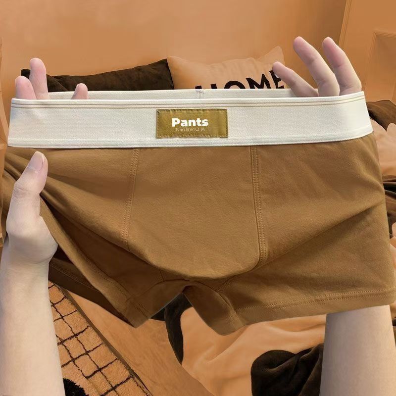 4 stücke Männer Unterwäsche Baumwolle BoxerShorts Hombre Höschen Mann Atmungsaktive Unterhose Sexy Sport Komfort Männliche Boxer Große Größe L-7XL