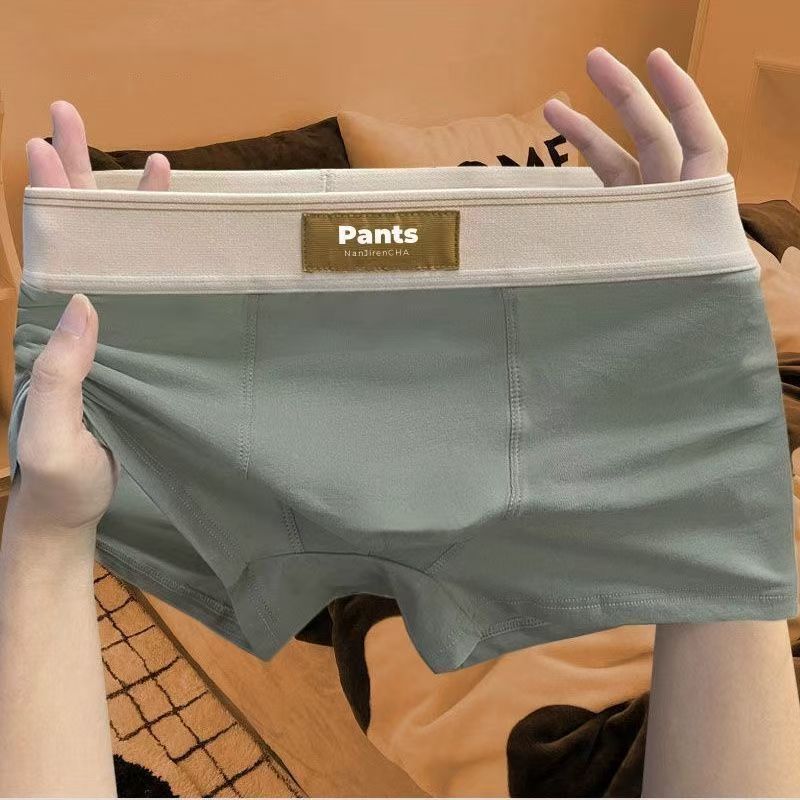4 stücke Männer Unterwäsche Baumwolle BoxerShorts Hombre Höschen Mann Atmungsaktive Unterhose Sexy Sport Komfort Männliche Boxer Große Größe L-7XL