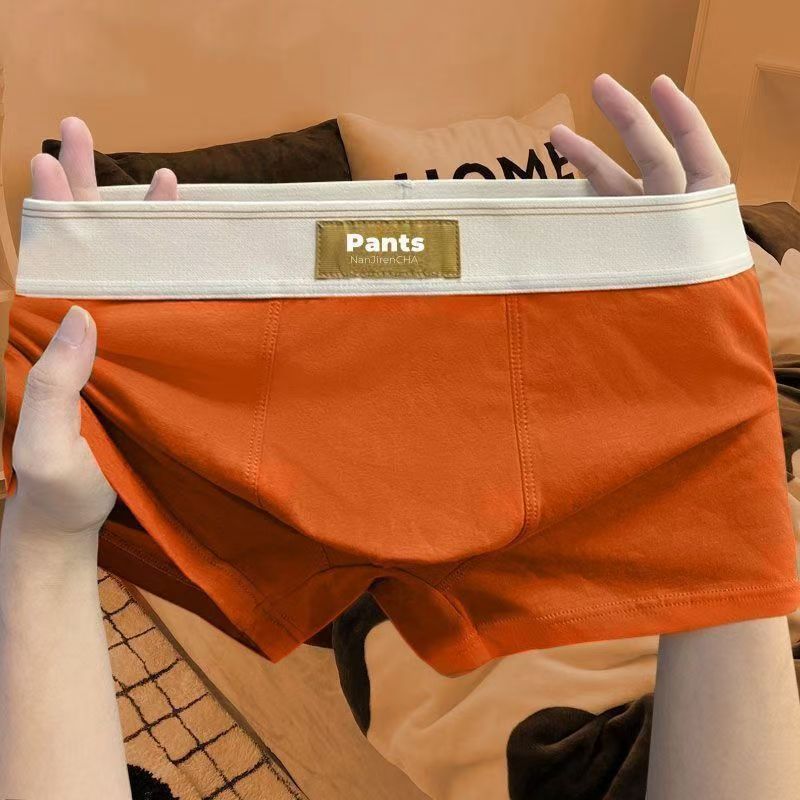 4 stücke Männer Unterwäsche Baumwolle BoxerShorts Hombre Höschen Mann Atmungsaktive Unterhose Sexy Sport Komfort Männliche Boxer Große Größe L-7XL