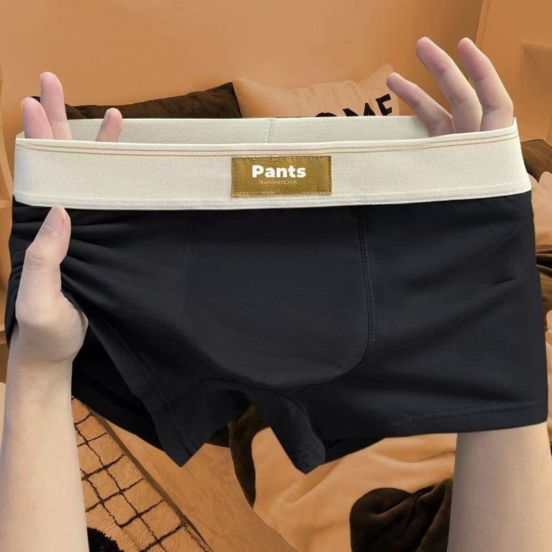 4 stücke Männer Unterwäsche Baumwolle BoxerShorts Hombre Höschen Mann Atmungsaktive Unterhose Sexy Sport Komfort Männliche Boxer Große Größe L-7XL