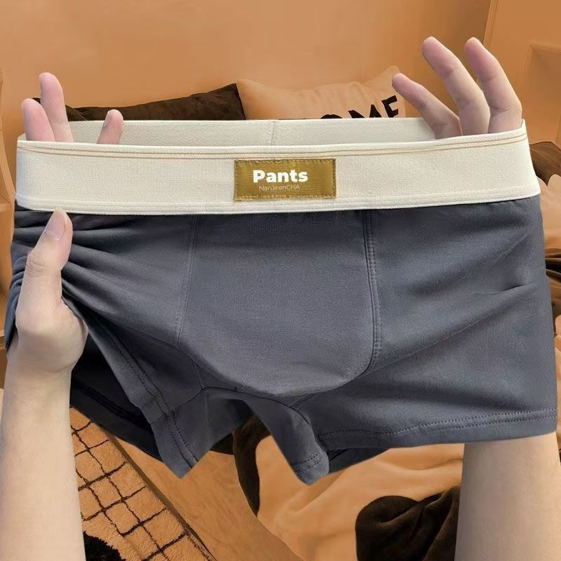 4 stücke Männer Unterwäsche Baumwolle BoxerShorts Hombre Höschen Mann Atmungsaktive Unterhose Sexy Sport Komfort Männliche Boxer Große Größe L-7XL
