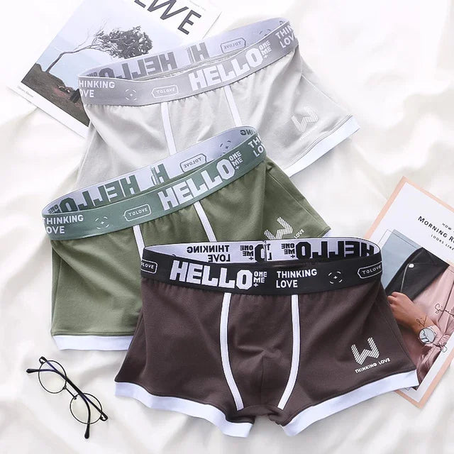 1Pcs Männer Baumwolle Boxer Shorts Höschen Unterwäsche3 Farben L XL 2XL 3XL Weichen Brief Gürtel Atmungsaktive Soft Mode sport