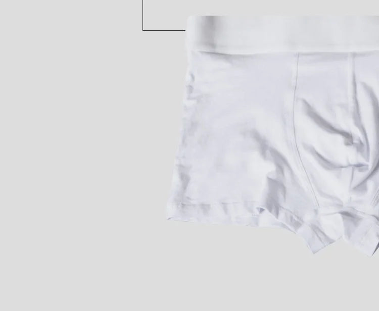 Männer Unterwäsche Boxer Baumwolle Boden Preis Herren Unterhosen Bequeme Unterwäsche Männliche Höschen Atmungsaktive U Pouch Männer Shorts