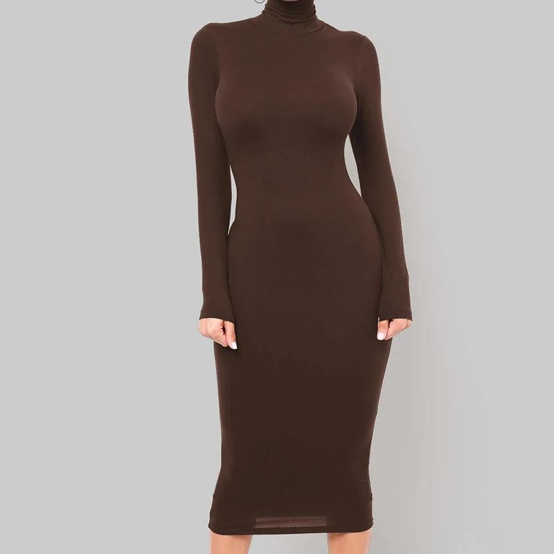Winter Schwarz Rollkragen Sexy Frauen Kleid Herbst Langarm Dünne Midi Boydcon Casual Blau Plüsch Knie-Länge Party