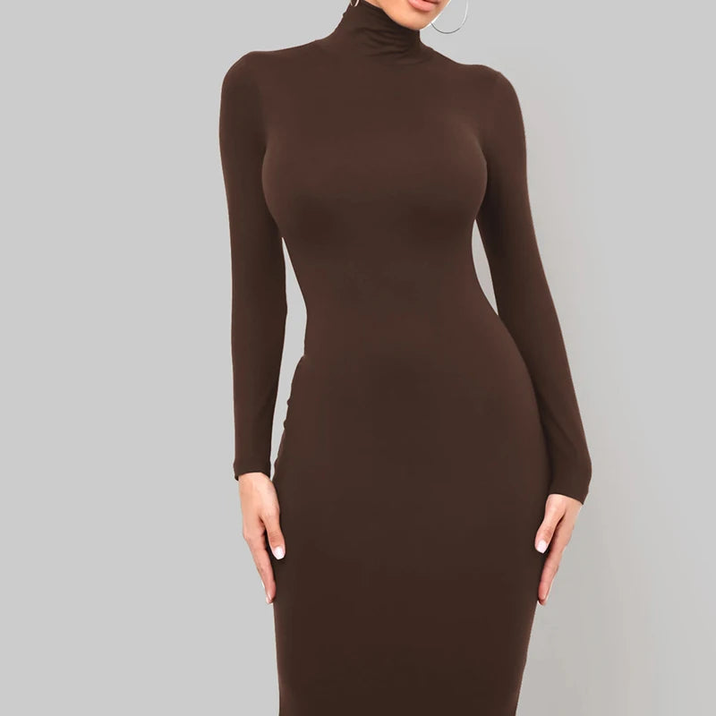Winter Schwarz Rollkragen Sexy Frauen Kleid Herbst Langarm Dünne Midi Boydcon Casual Blau Plüsch Knie-Länge Party