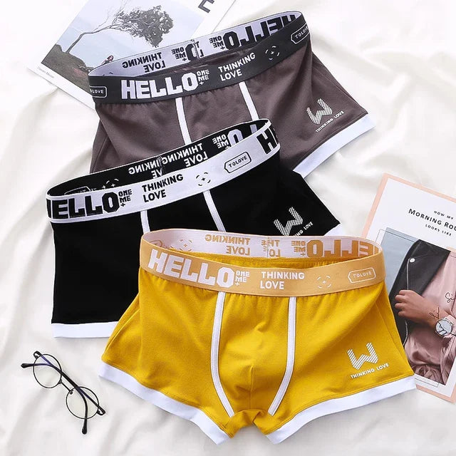 1Pcs Männer Baumwolle Boxer Shorts Höschen Unterwäsche3 Farben L XL 2XL 3XL Weichen Brief Gürtel Atmungsaktive Soft Mode sport