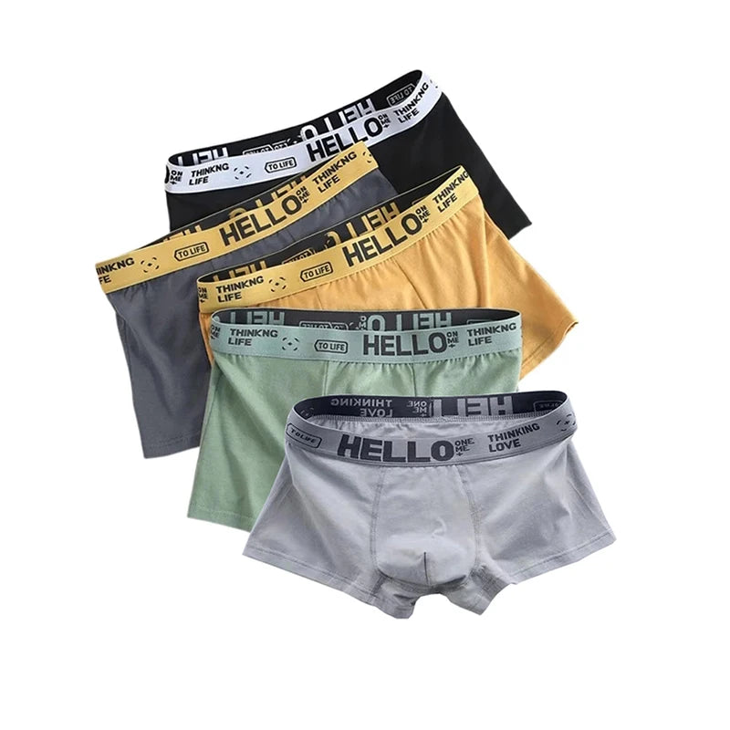 5 Stück Herren Unterwäsche männliche Boxer sexy Unterhose bequem atmungsaktive Mode Jungen Höschen Unterwäsche Boxershorts Männer