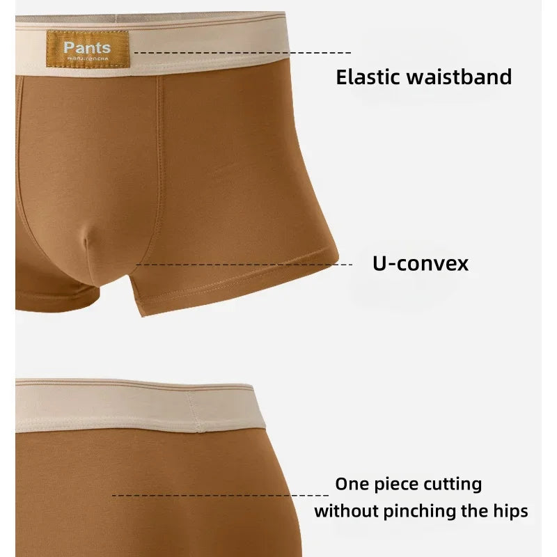 4 stücke Männer Unterwäsche Baumwolle BoxerShorts Hombre Höschen Mann Atmungsaktive Unterhose Sexy Sport Komfort Männliche Boxer Große Größe L-7XL