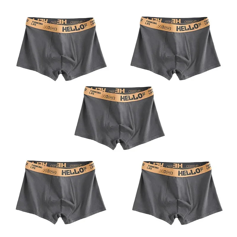 1/5 Stück Herrenunterwäsche, atmungsaktiv, bequem, schnell trocknend, dehnbar, Boxershorts, sexy Unterhosen, trendige Boxershorts für Herren