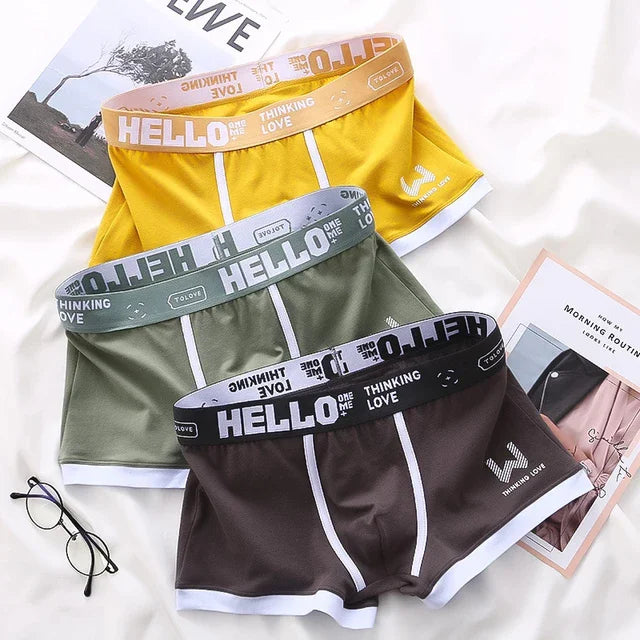 1Pcs Männer Baumwolle Boxer Shorts Höschen Unterwäsche3 Farben L XL 2XL 3XL Weichen Brief Gürtel Atmungsaktive Soft Mode sport