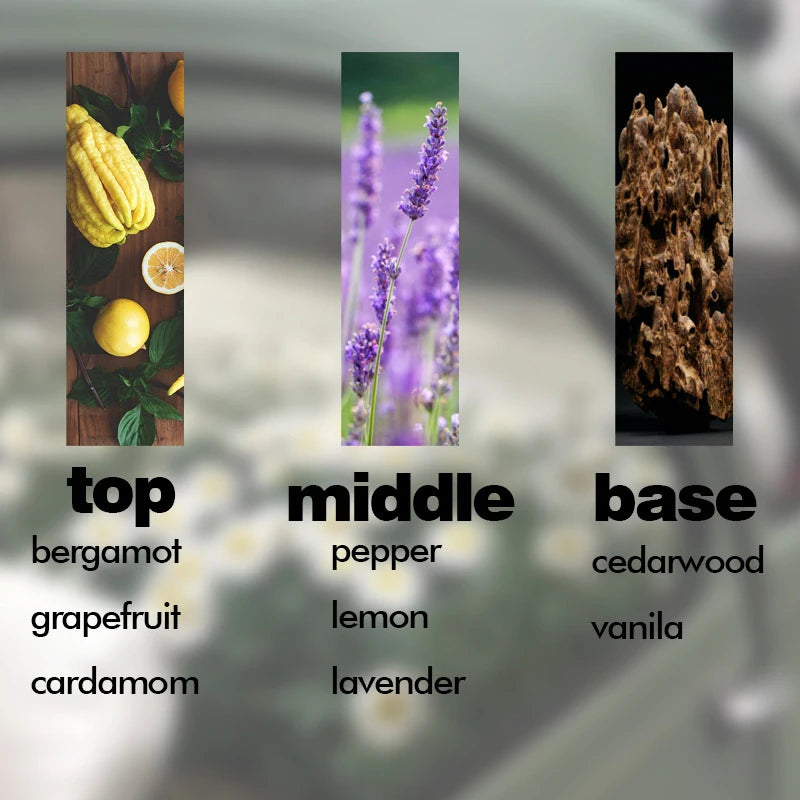 15ml Dubai Nahost Parfüm öl lang anhaltender leichter Duft frische Wüsten blume arabisches ätherisches Öl Gesundheit Schönheit