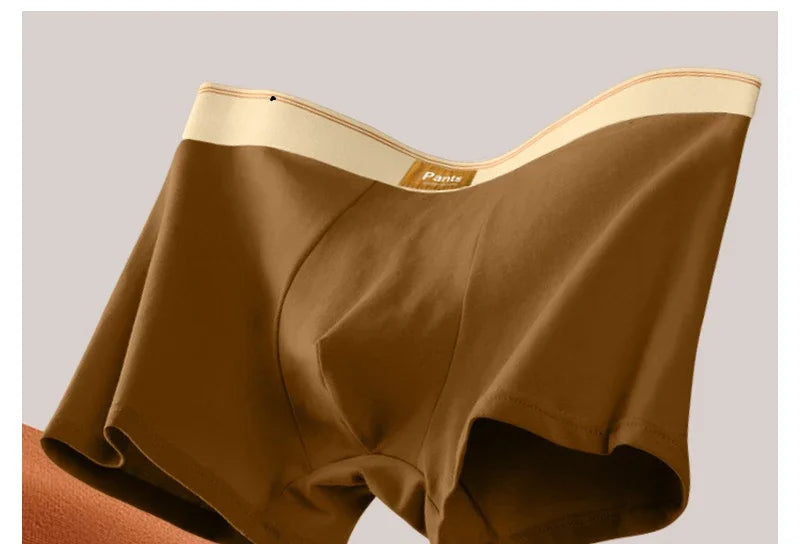 4 stücke Männer Unterwäsche Baumwolle BoxerShorts Hombre Höschen Mann Atmungsaktive Unterhose Sexy Sport Komfort Männliche Boxer Große Größe L-7XL