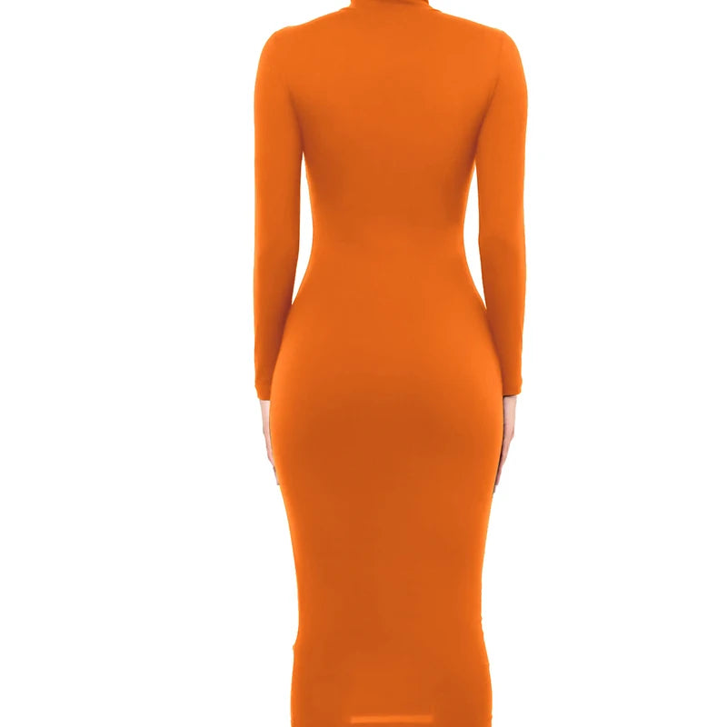 Winter Schwarz Rollkragen Sexy Frauen Kleid Herbst Langarm Dünne Midi Boydcon Casual Blau Plüsch Knie-Länge Party