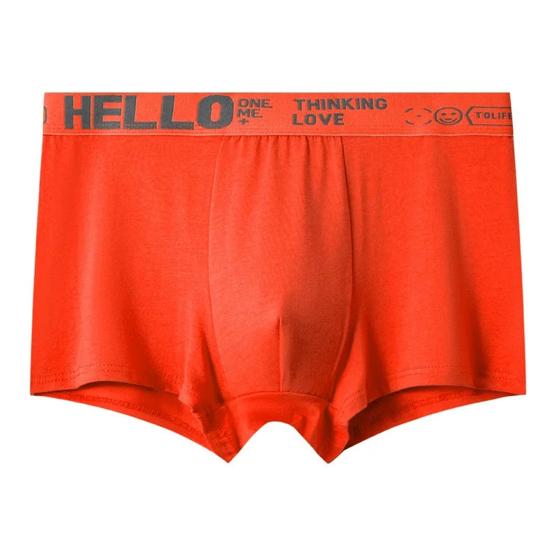 1/5 Stück Herrenunterwäsche, atmungsaktiv, bequem, schnell trocknend, dehnbar, Boxershorts, sexy Unterhosen, trendige Boxershorts für Herren