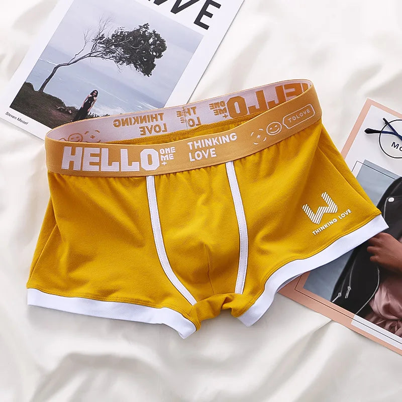 1Pcs Männer Baumwolle Boxer Shorts Höschen Unterwäsche3 Farben L XL 2XL 3XL Weichen Brief Gürtel Atmungsaktive Soft Mode sport