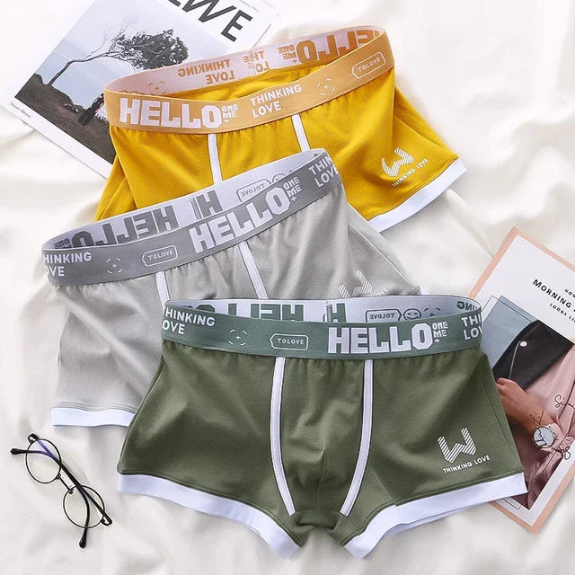 1Pcs Männer Baumwolle Boxer Shorts Höschen Unterwäsche3 Farben L XL 2XL 3XL Weichen Brief Gürtel Atmungsaktive Soft Mode sport