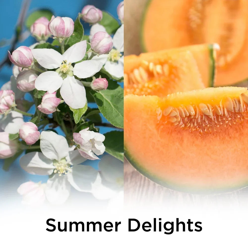 Duftöl-Nachfüllung, 2 Stück, Summer Delights Lufterfrischer mit ätherischen Ölen, Blumenmelonen-Vanille, kompatibel mit Plug-In